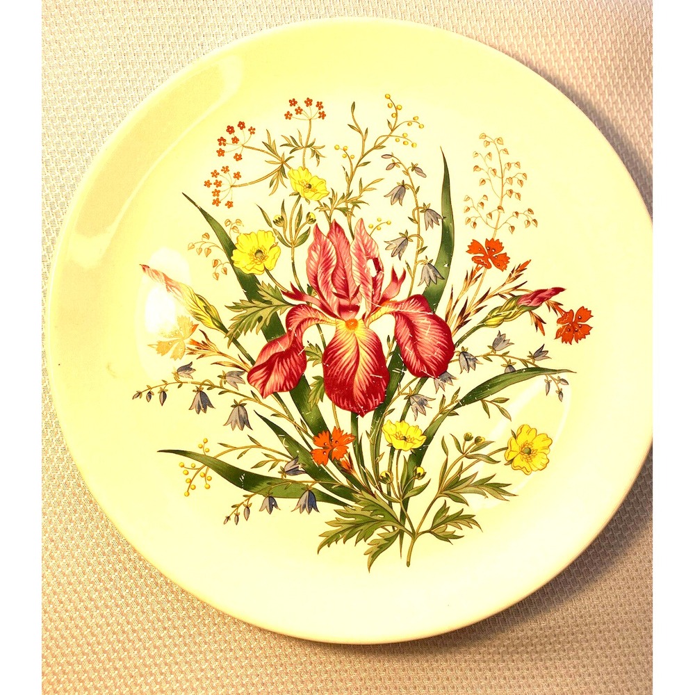 Spring Song Salem Harmony House Dinner Plate Vintage Flowers Iris 10 inch
